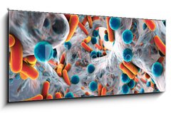 Obraz 1D panorama - 120 x 50 cm F_AB101448740 - Biofilm of antibiotic resistant bacteria, closeup view. Rod