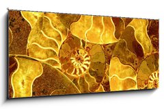 Obraz   ammonite nautilus sea shell fossil background, 120 x 50 cm