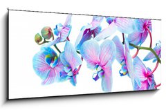 Obraz   stem of blue orchids, 120 x 50 cm