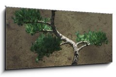 Sklenn obraz 1D panorama - 120 x 50 cm F_AB104394610 - Decorative Bonsai Tree