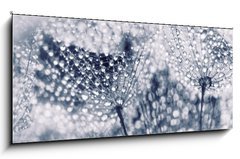 Sklenn obraz 1D - 120 x 50 cm F_AB104898301 - Plant seeds with water drops