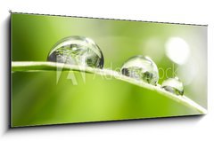 Obraz 1D panorama - 120 x 50 cm F_AB10523308 - drops with green grass