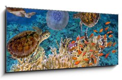 Sklenn obraz 1D panorama - 120 x 50 cm F_AB107412265 - Colorful coral reef with many fishes and sea turtle