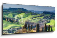 Obraz 1D panorama - 120 x 50 cm F_AB108374641 - Houses with cypress trees in a green spring day.