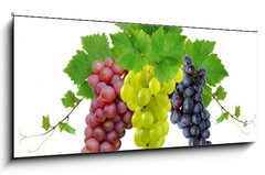 Skleněný obraz 1D panorama - 120 x 50 cm F_AB10964464 - Three fresh grapes - Tři čerstvé hrozny