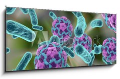 Obraz 1D panorama - 120 x 50 cm F_AB110321094 - Bacteria and hepatitis A virus