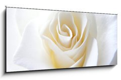 Obraz 1D panorama - 120 x 50 cm F_AB11152099 - Schneeweisschen oder die wei e Rose - Snhurka nebo bl re