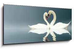 Sklenn obraz 1D panorama - 120 x 50 cm F_AB12112158 - Love Swans