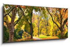 Obraz   Park im Herbst in freundlich warmen Farben, 120 x 50 cm