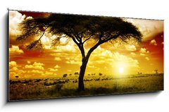 Obraz 1D panorama - 120 x 50 cm F_AB12197040 - Africa Sunset - Afrika Zpad slunce