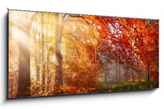 Obraz 1D panorama - 120 x 50 cm F_AB122248477 - Herbst im Wald, mit Lichtstrahlen im Nebel und rotem Laub