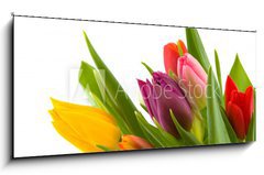 Obraz 1D panorama - 120 x 50 cm F_AB12262368 - colored flowers - barevn kvty