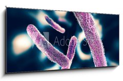 Obraz 1D panorama - 120 x 50 cm F_AB122886078 - Shigella Bacteria - Bakterie Shigella