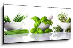 Obraz 1D panorama - 120 x 50 cm F_AB122892380 - Pestle and Mortar with Green Herbs on White Background - Tlouek a malta se zelenmi bylinkami na blm pozad