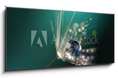 Obraz 1D panorama - 120 x 50 cm F_AB123550067 - Beautiful dew drops on a dandelion seed macro.  Beautiful blue background. Large golden dew drops on a parachute dandelion. Soft dreamy tender artistic image form.