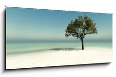 Obraz 1D panorama - 120 x 50 cm F_AB126560090 - tree on the beach