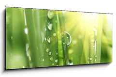Skleněný obraz 1D panorama - 120 x 50 cm F_AB13037695 - Drops - Kapky