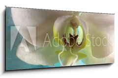 Skleněný obraz 1D - 120 x 50 cm F_AB131453203 - Orchid - Orchidej