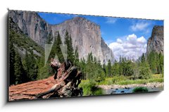 Sklenn obraz 1D panorama - 120 x 50 cm F_AB13181871 - El Capitan View in Yosemite Nation Park