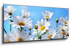 Sklenn obraz 1D panorama - 120 x 50 cm F_AB13584171 - Flowers