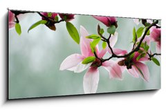 Sklenn obraz 1D panorama - 120 x 50 cm F_AB13608462 - Magnolia - Magnlie