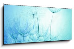 Skleněný obraz 1D panorama - 120 x 50 cm F_AB139324151 - dandelion on a blue background - pampeliška na modrém pozadí