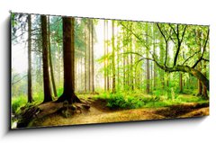 Sklenn obraz 1D panorama - 120 x 50 cm F_AB139969469 - Idyllischer Wald mit Bach bei Sonnenaufgang