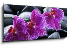 Obraz 1D panorama - 120 x 50 cm F_AB13998987 - beautiful orchid detail still life spa stones