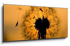 Sklenn obraz 1D panorama - 120 x 50 cm F_AB14129993 - dandelion in peaceful evening
