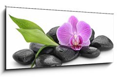 Obraz 1D panorama - 120 x 50 cm F_AB144086994 - zen basalt stones ,orchid and bamboo