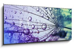Obraz 1D panorama - 120 x 50 cm F_AB146436696 -  dandelion flower background