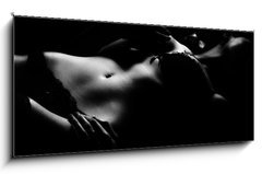 Obraz 1D panorama - 120 x 50 cm F_AB14669589 - lowkey dessous susi 1