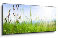 Obraz 1D panorama - 120 x 50 cm F_AB14694795 - Grass