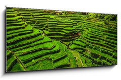 Skleněný obraz 1D panorama - 120 x 50 cm F_AB149173754 - Batad Rice Terraces in Northern Luzon, Philippines. - Rýžové terasy Batad v severním Luzonu na Filipínách.