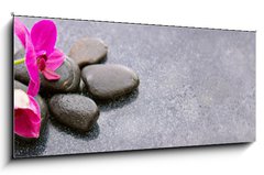 Obraz 1D panorama - 120 x 50 cm F_AB150097450 - Pnk orchids and black stones close up.