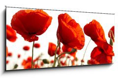 Obraz   Red poppies, 120 x 50 cm