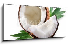 Obraz 1D panorama - 120 x 50 cm F_AB15844429 - coconut on a white background