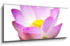 Sklenn obraz 1D panorama - 120 x 50 cm F_AB15918098 - Lotus
