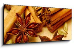 Sklenn obraz 1D panorama - 120 x 50 cm F_AB16069222 - close-up of whole spice