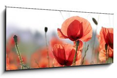 Obraz 1D panorama - 120 x 50 cm F_AB16525466 - mohnblumen