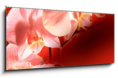 Obraz   Orchid red background, 120 x 50 cm