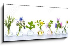 Obraz 1D panorama - 120 x 50 cm F_AB166862791 - Herbs for alternative medicine, natural cosmetics and kitchen