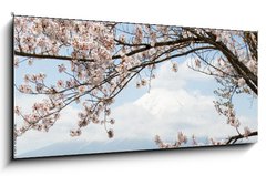 Obraz 1D panorama - 120 x 50 cm F_AB167625752 - Fuji mountain  in japan as background with sakura blossom as foreground