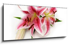 Obraz 1D panorama - 120 x 50 cm F_AB16841573 - Lily