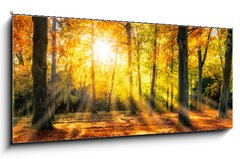 Sklenn obraz 1D panorama - 120 x 50 cm F_AB169049384 - Buntes Herbstwald Panorama im Sonnenlicht - Panorama Buntes Herbstwald im Sonnenlicht