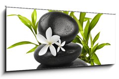 Obraz 1D panorama - 120 x 50 cm F_AB16965002 - Spa still life on white background