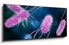 Obraz 1D panorama - 120 x 50 cm F_AB176894218 - 3D illustration of Salmonella Bacteria. Medicine concept.
