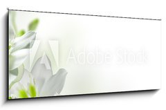 Obraz   flowers, 120 x 50 cm