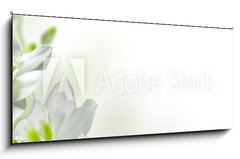 Obraz 1D panorama - 120 x 50 cm F_AB17740159 - flowers