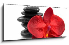 Obraz   Stacked black spa stones with silk orchid over white background, 120 x 50 cm